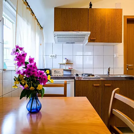 Mani Apartment *
